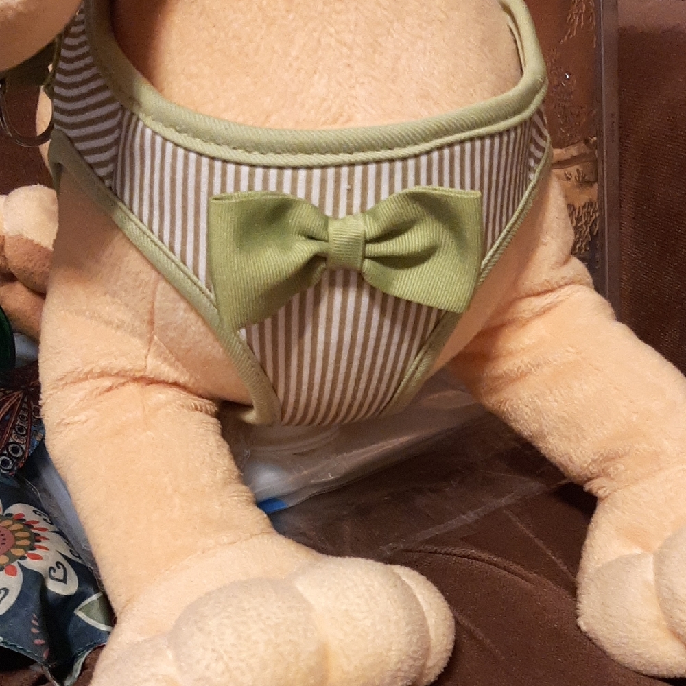 Martha Stewart Green Striped Dog Harness